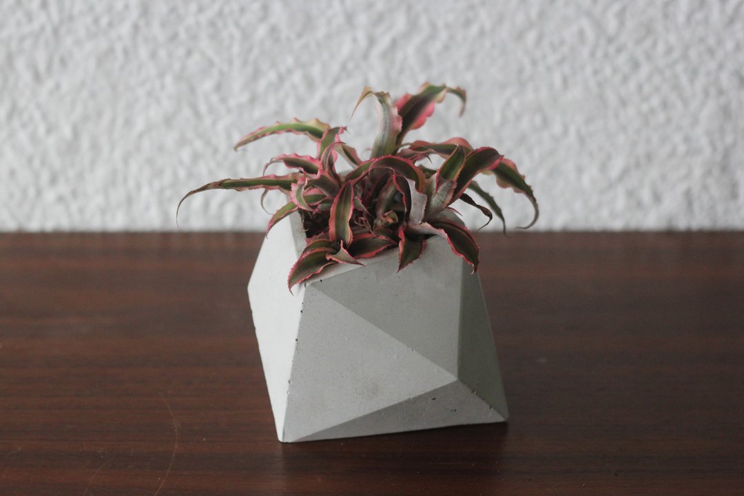 不规则 | 水泥几何盆器 花器 - 植栽/盆栽 - 水泥 灰色