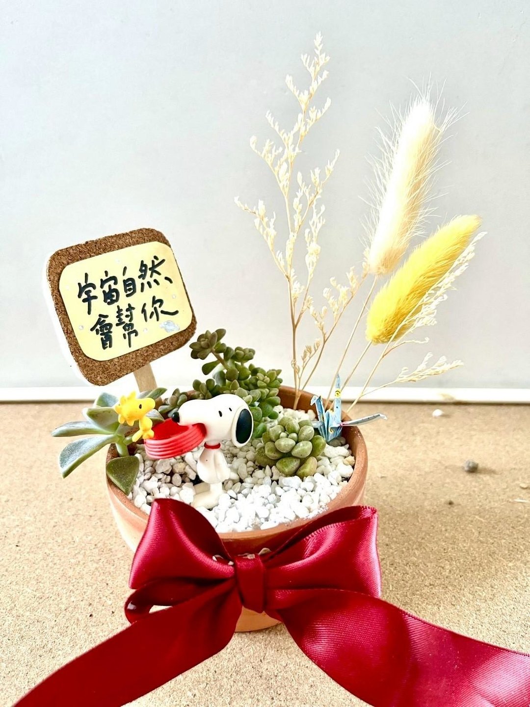 台中 多肉组盆 多肉植物 日式枯山水 微景观 史奴比 SNOOPY 励志 - 植栽/盆栽 - 植物．花 绿色
