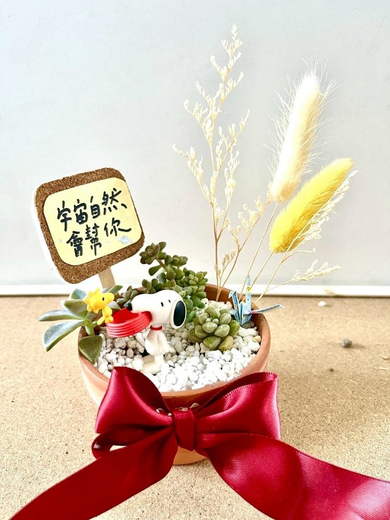 台中 多肉组盆 多肉植物 日式枯山水 微景观 史奴比 SNOOPY 励志 - 植栽/盆栽 - 植物．花 绿色