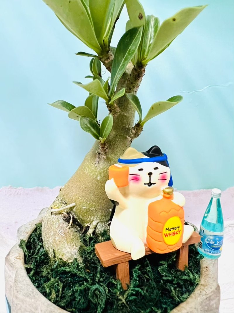 醉美的沙漠玫瑰 块根多肉植物 造型摆设盆 - 植栽/盆栽 - 水泥 灰色