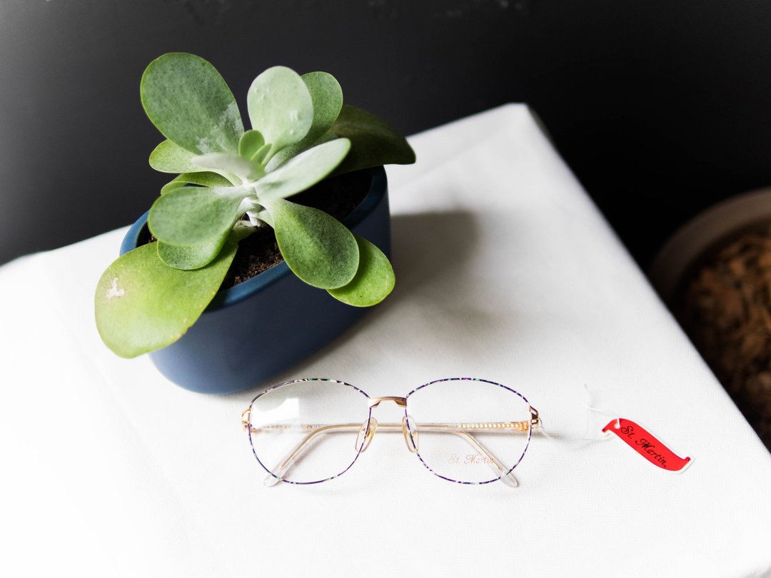 河水山 - 深花季紫罗兰霓虹派对 金丝雕花鼻角 Japan 日本好学生 金框 / glasses - 眼镜/眼镜框 - 其他金属 多色