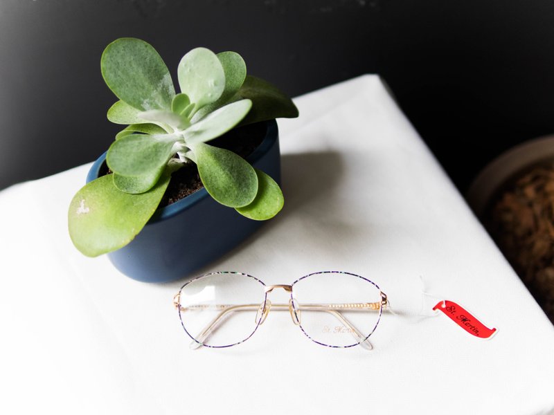 河水山 - 深花季紫罗兰霓虹派对 金丝雕花鼻角 Japan 日本好学生 金框 / glasses - 眼镜/眼镜框 - 其他金属 多色