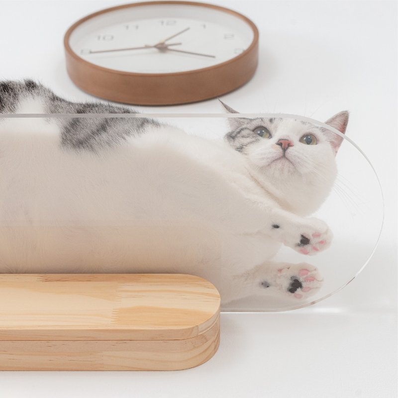 透明猫走道 Oblong-M款 (60CM) - 抓板/跳台 - 木头 卡其色
