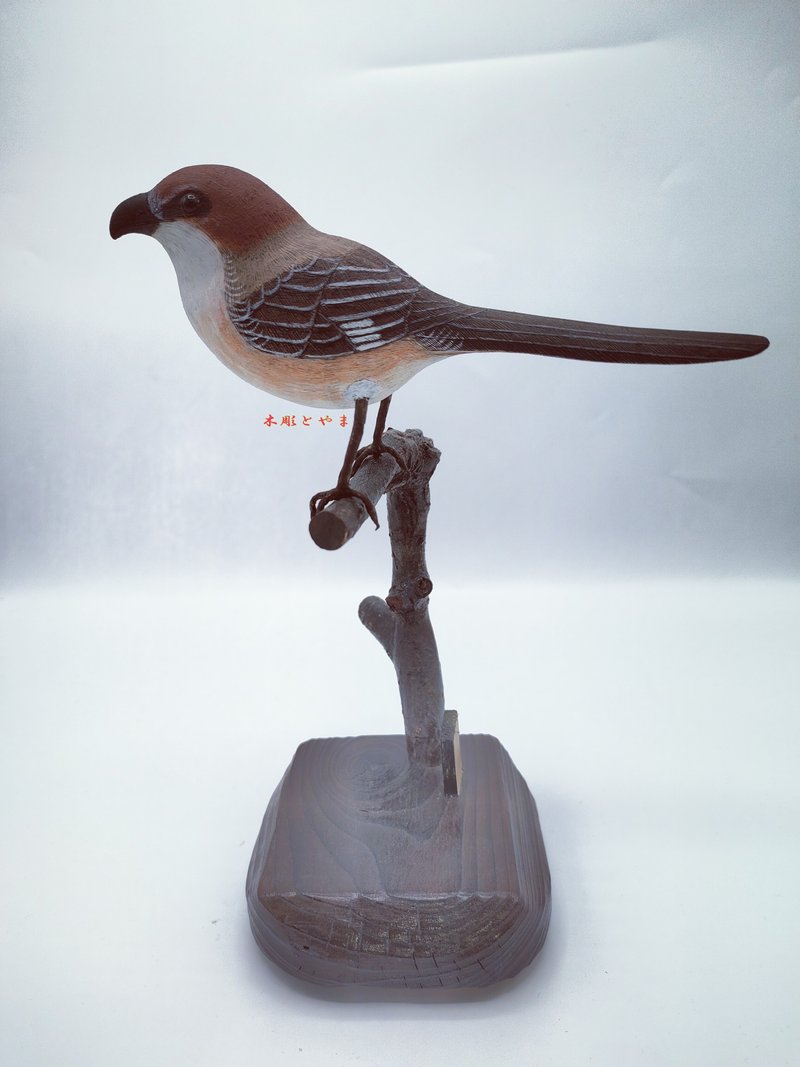 伯劳【木雕鸟】 - 摆饰 - 木头 咖啡色