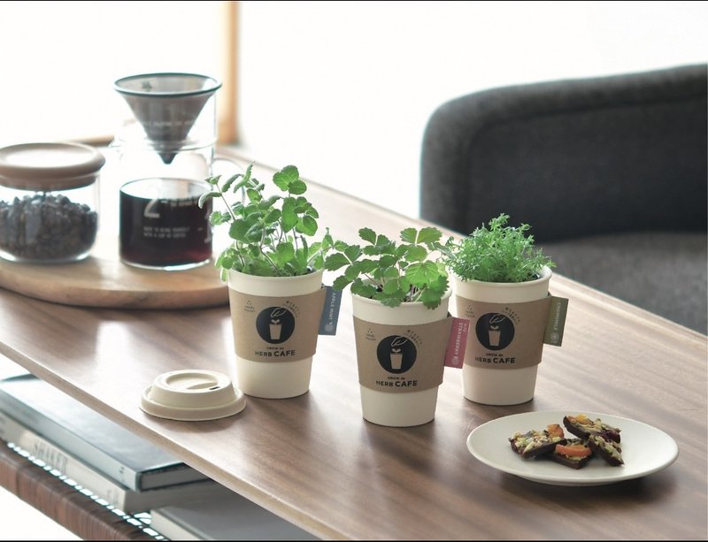 圣新陶芸Grow de HERB咖啡杯植物栽培组 - 植栽/盆栽 - 陶 