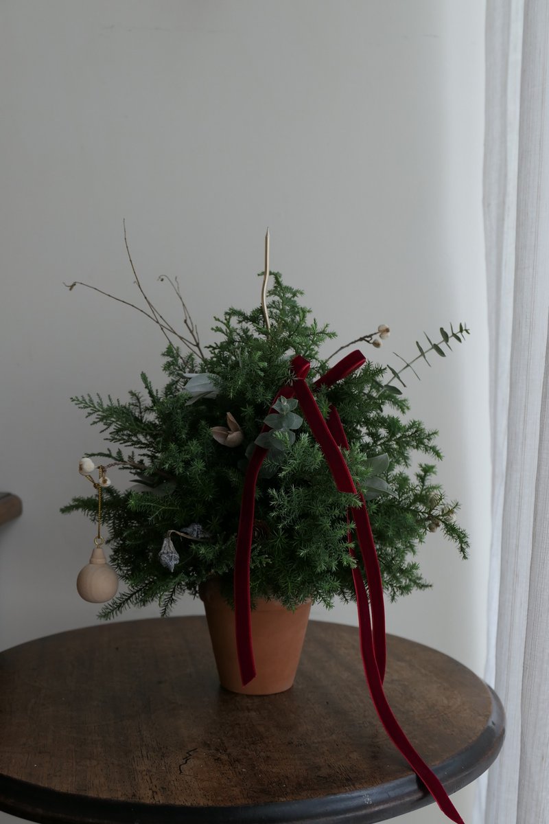 【好花】假装是蛋糕的圣诞小树 - 干燥花/捧花 - 植物．花 绿色