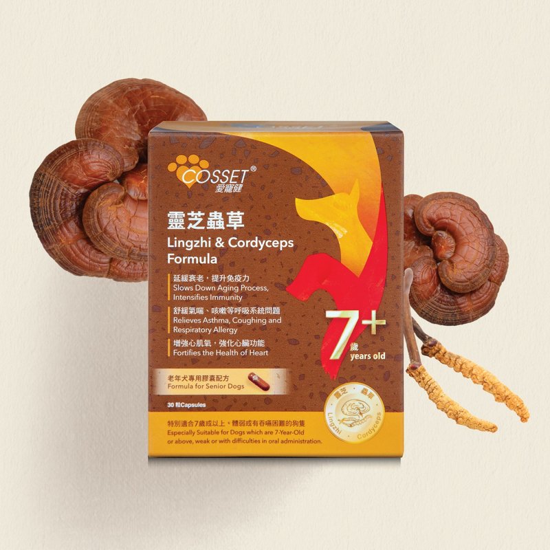 爱宠健灵芝虫草老年犬专用配方 - 零食/点心 - 其他材质 