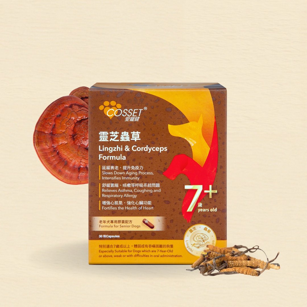 爱宠健灵芝虫草老年犬专用配方 - 其他 - 其他材质 