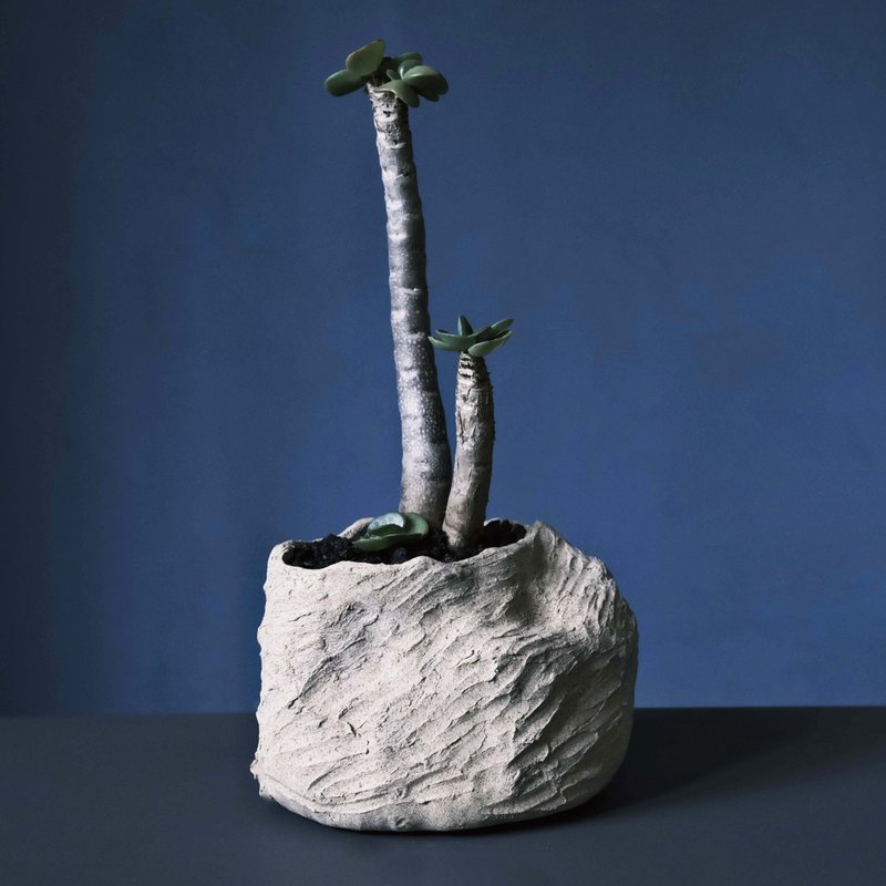 扭来扭去系列-定制化花盆 - 植栽/盆栽 - 陶 多色