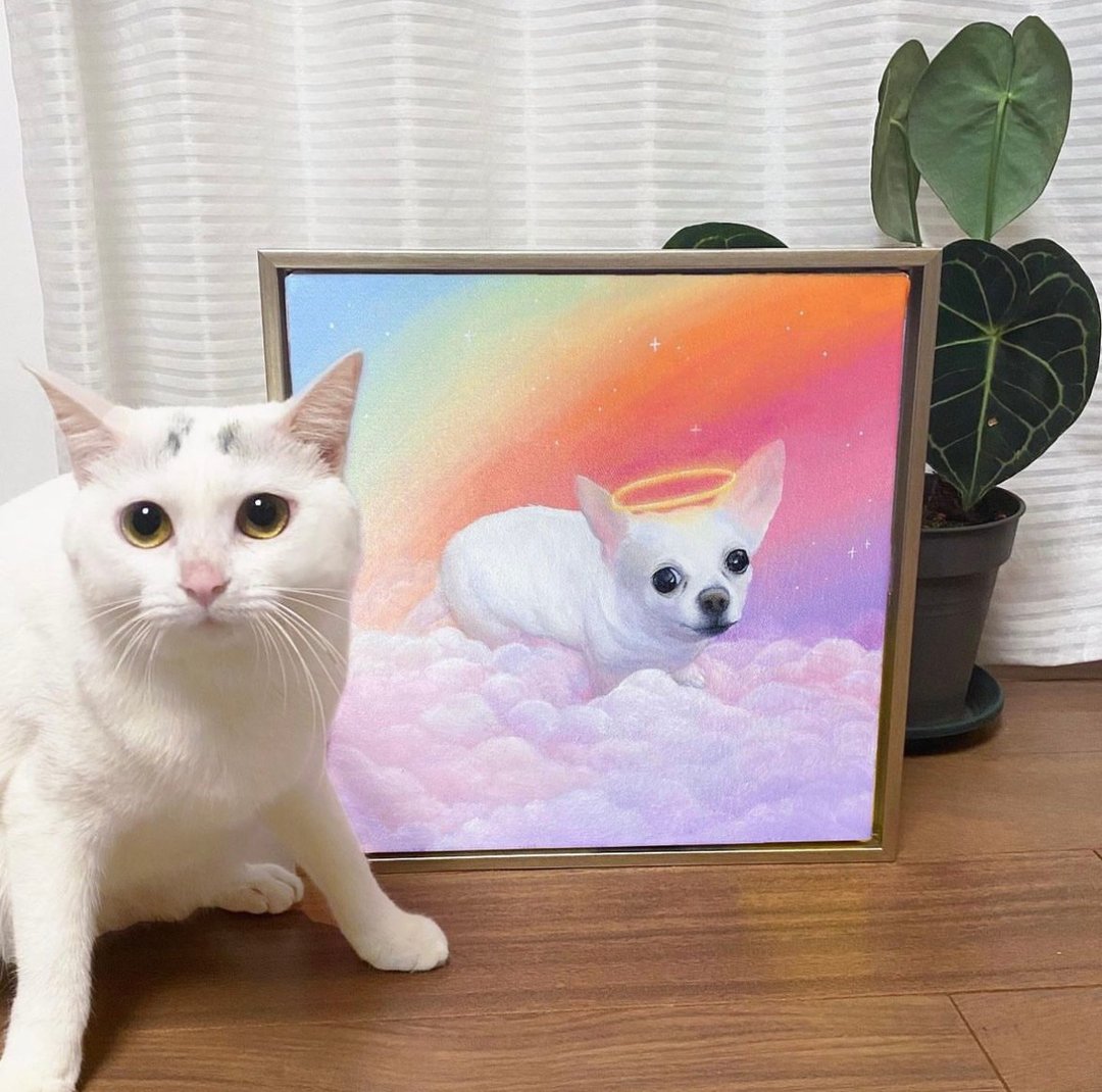 彩虹桥宠物油画画像订制 天堂猫咪狗狗小天使 定制化肖像画 - 订制画像 - 颜料 