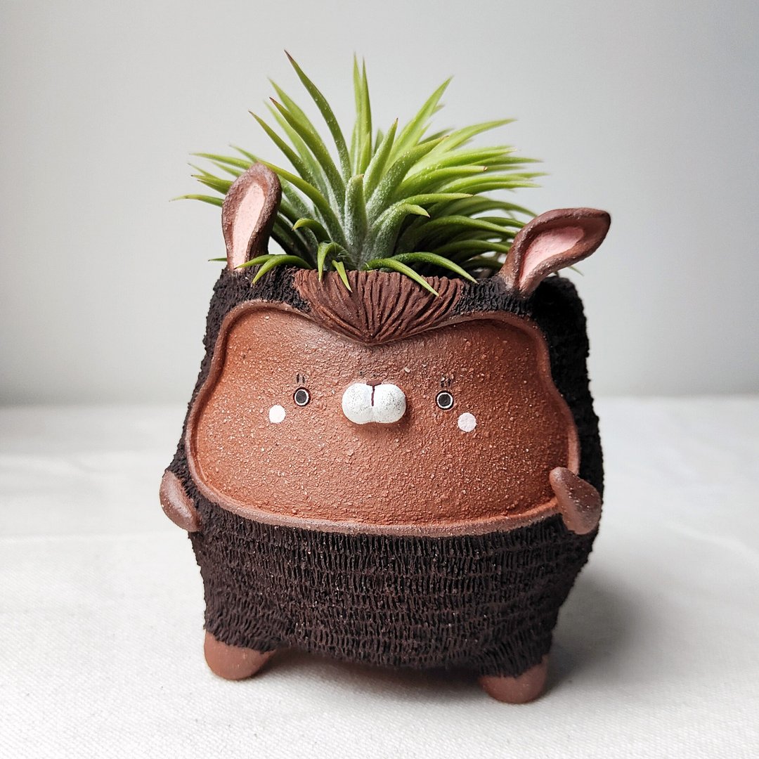 Taz the planter. Handmade terracotta 花盆 - 花瓶/陶器 - 陶 