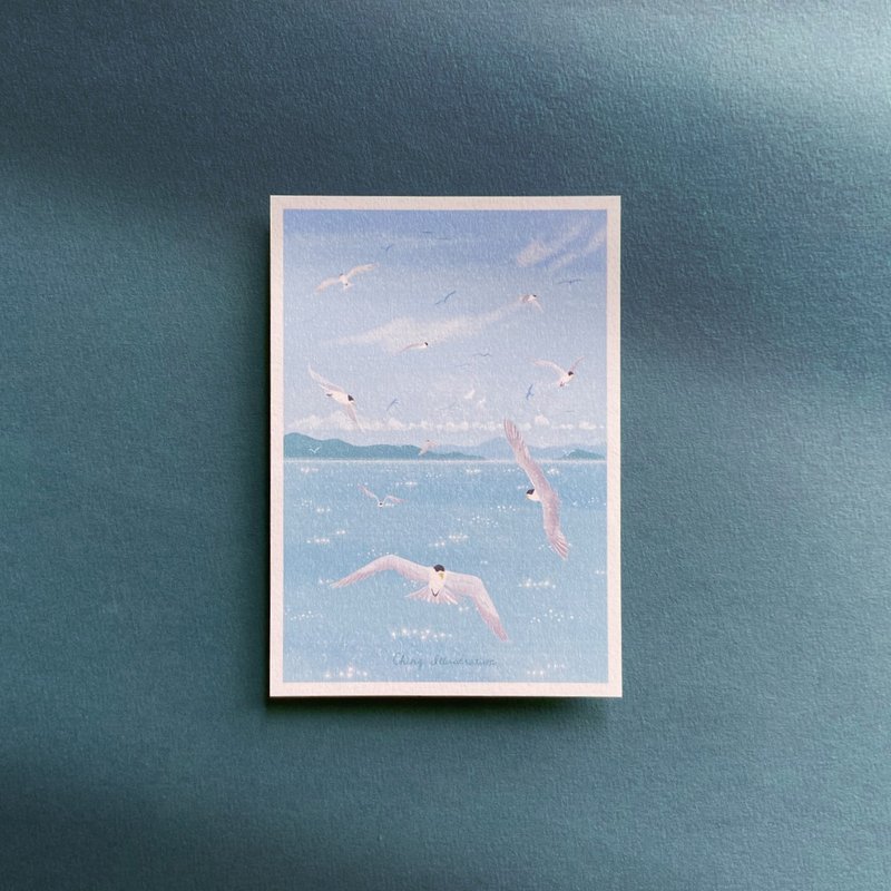 插画明信片 | 凤头燕鸥 Great Crested Tern 1组2入 - 卡片/明信片 - 纸 