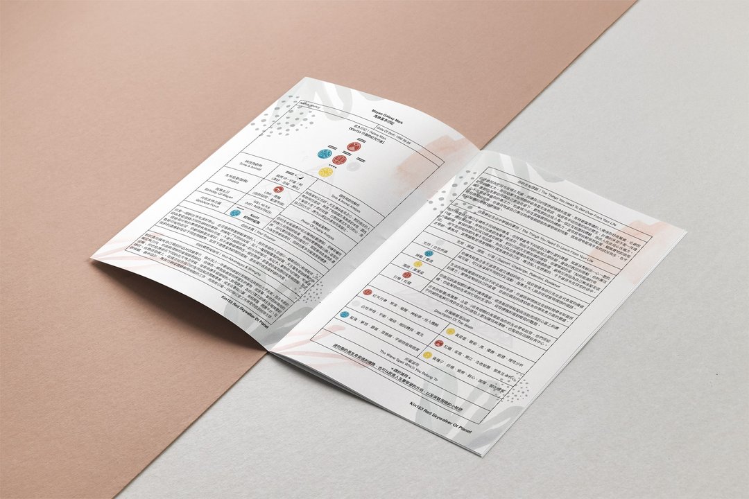 十三月亮历 | 个人蓝图解读手册 • 自我成长 | 赠在线专人解读 - 其他 - 纸 