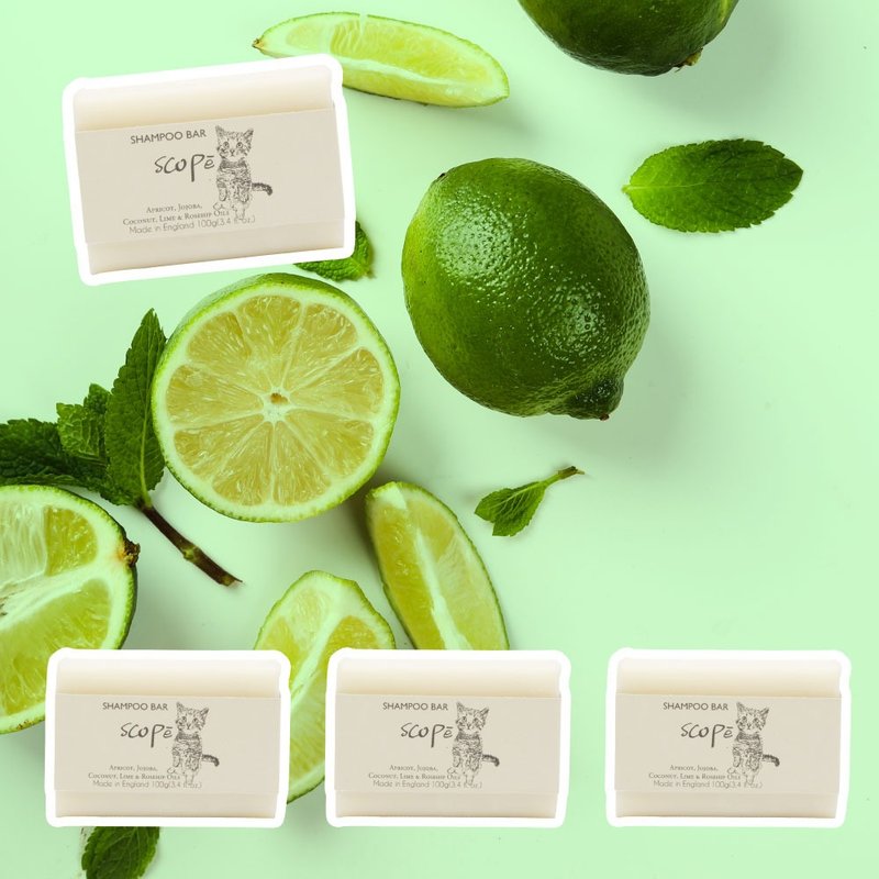青柠洗发皂裸装4入【诗可贝SCOPē】热卖变预售 2026新品上市 - 洗发用品 - 浓缩/萃取物 