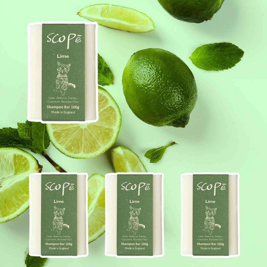 青柠洗发皂裸装 4 入【诗可贝 SCOPē】婚礼小物 - 洗发用品 - 浓缩/萃取物 