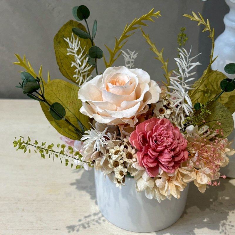 永生盆花 情人节 开幕送礼 圆盆/绿意白境/赤枫林 - 干燥花/捧花 - 植物．花 多色