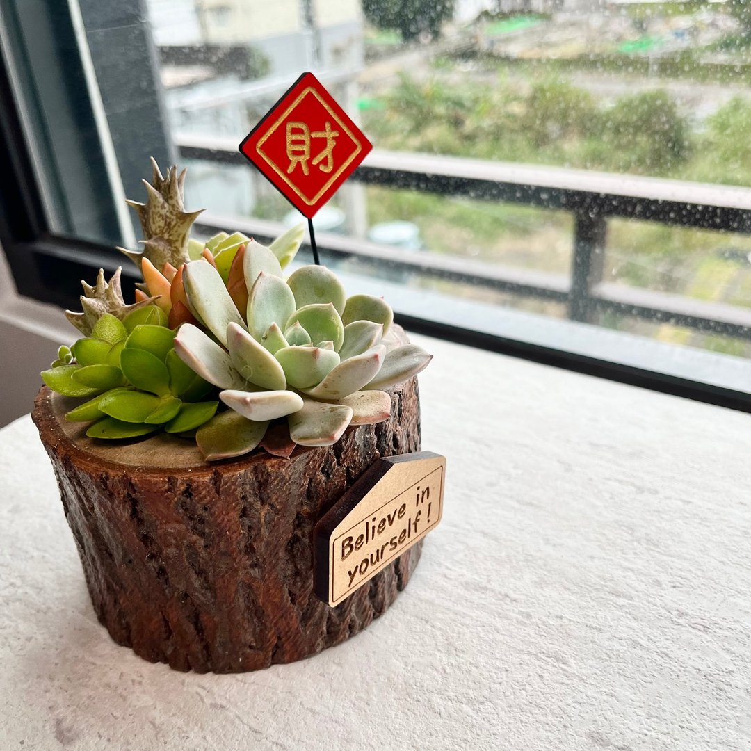 雷雕斗方春联盆栽花插摆件 新春祝福字(红/金) - 植栽/盆栽 - 木头 红色