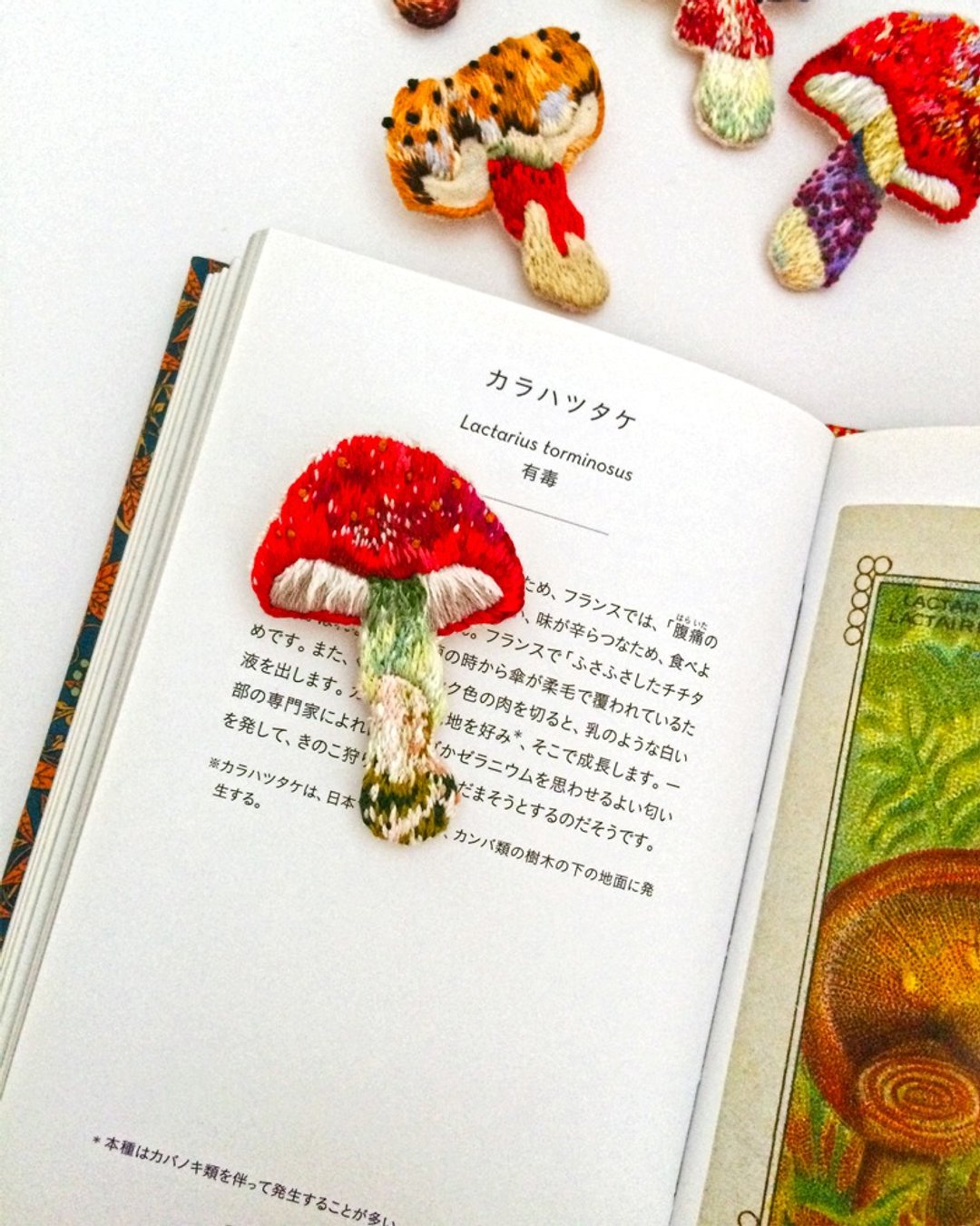 春の采收。经典森系刺绣蕈菇别针胸针 - 胸针 - 绣线 红色