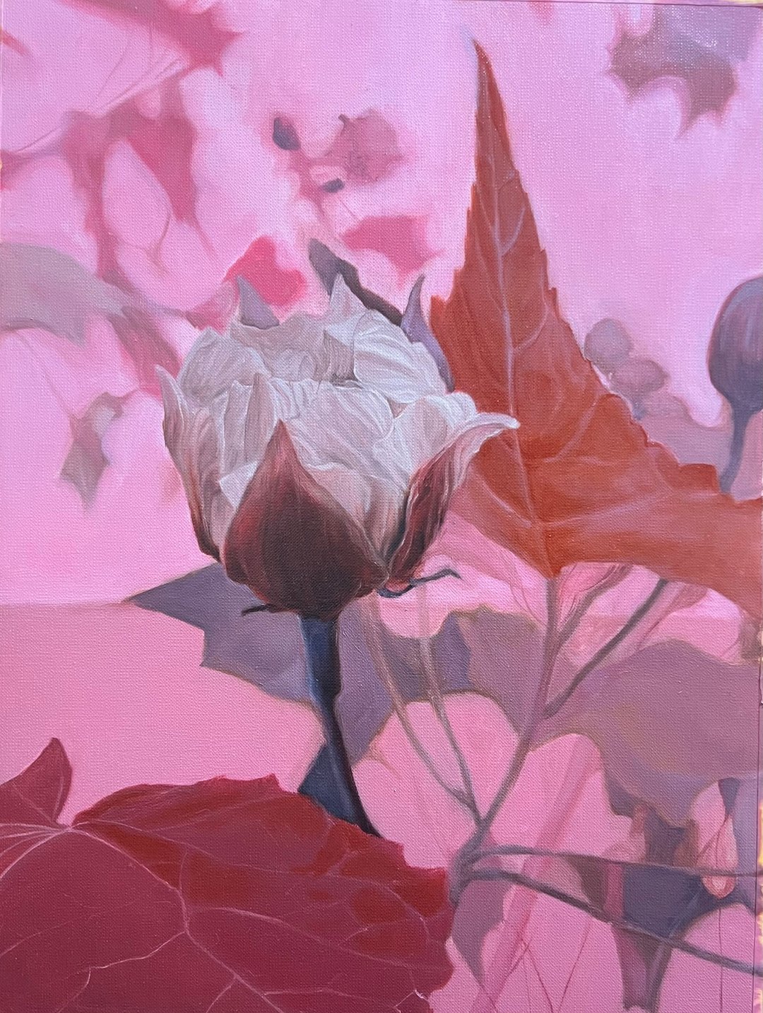 红色系版本 - 未醒的木芙蓉 - 海报/装饰画/版画 - 纸 