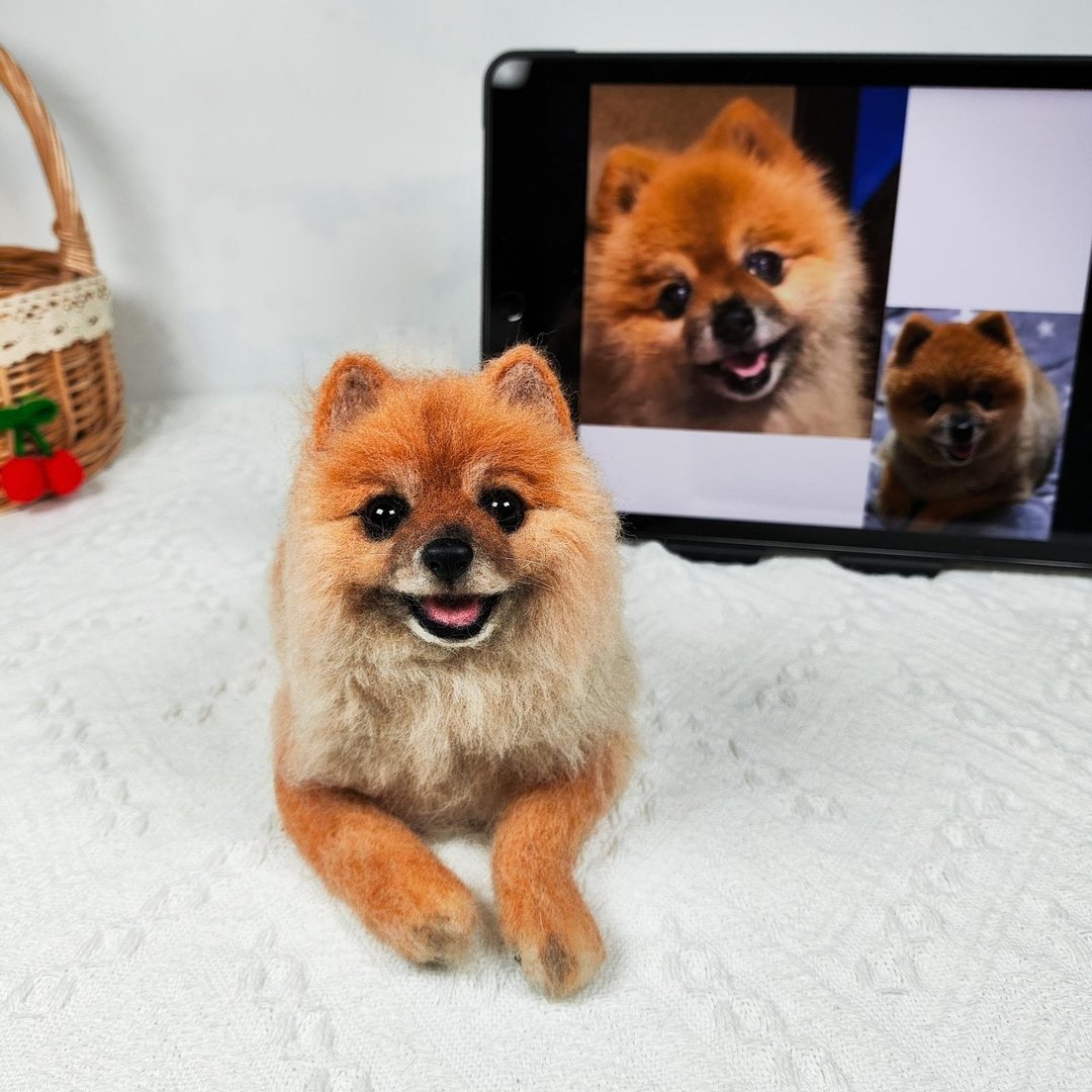 定制 逼真犬 毛孩 宠物 博美犬 羊毛毡 娃娃 似颜绘 纪念 狗狗 p5 - 玩具 - 羊毛 多色