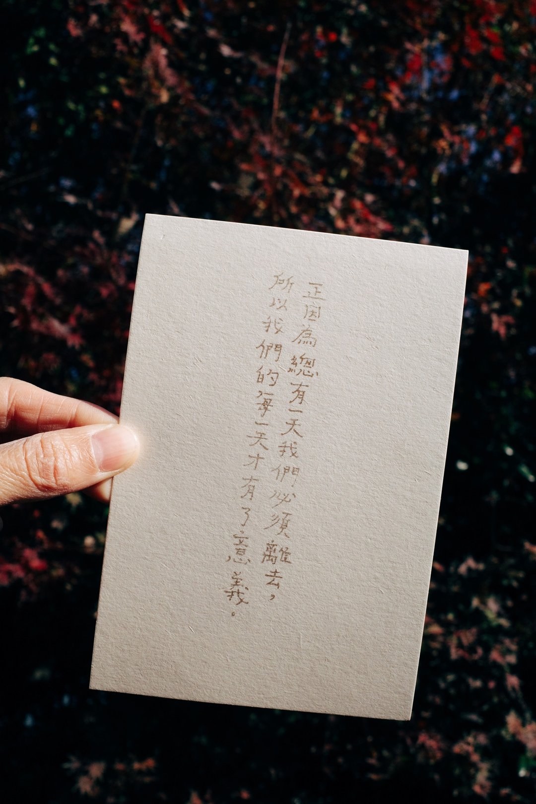 所以我们的每一天才有了意义 文字明信片 青青的岛 - 卡片/明信片 - 纸 