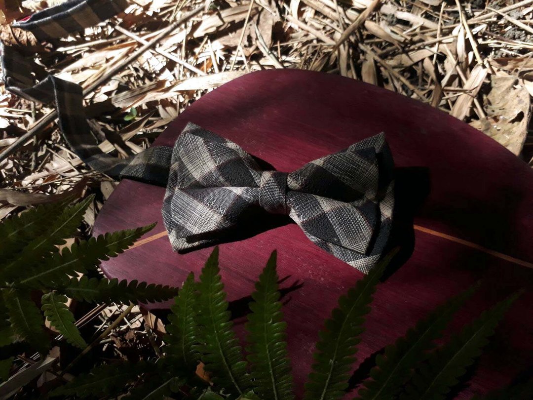 大格纹 暖男系列领结 Bow ties - 领结/领巾 - 棉 多色