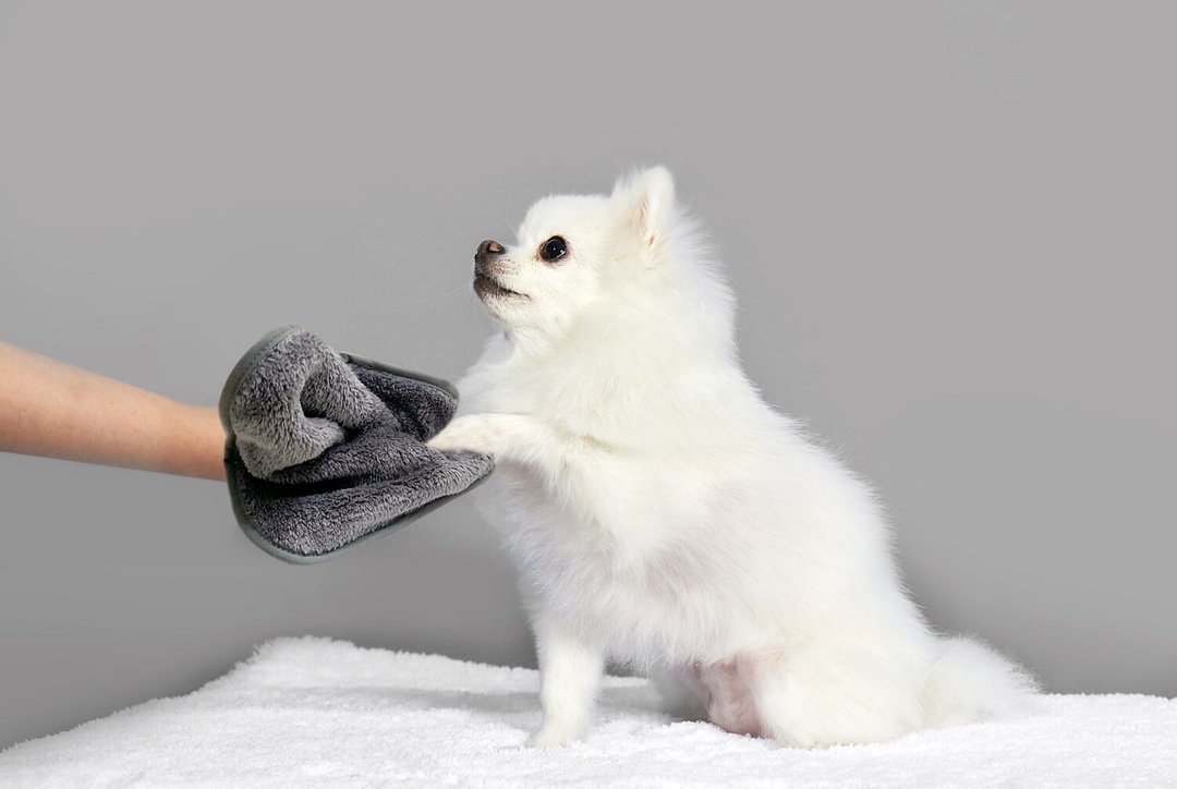 免困【PET IN BEAUTY 韩国 超柔软 超耐用 毛巾】 - 毛巾浴巾 - 聚酯纤维 灰色