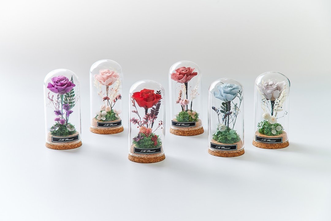 情人节花礼 小型玻璃永生花盅 小王子玫瑰花 - 干燥花/捧花 - 植物．花 