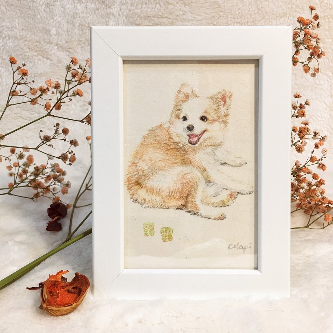 定制_全身 宠物 毛小孩 插画 肖像 画像 - 订制画像 - 纸 多色