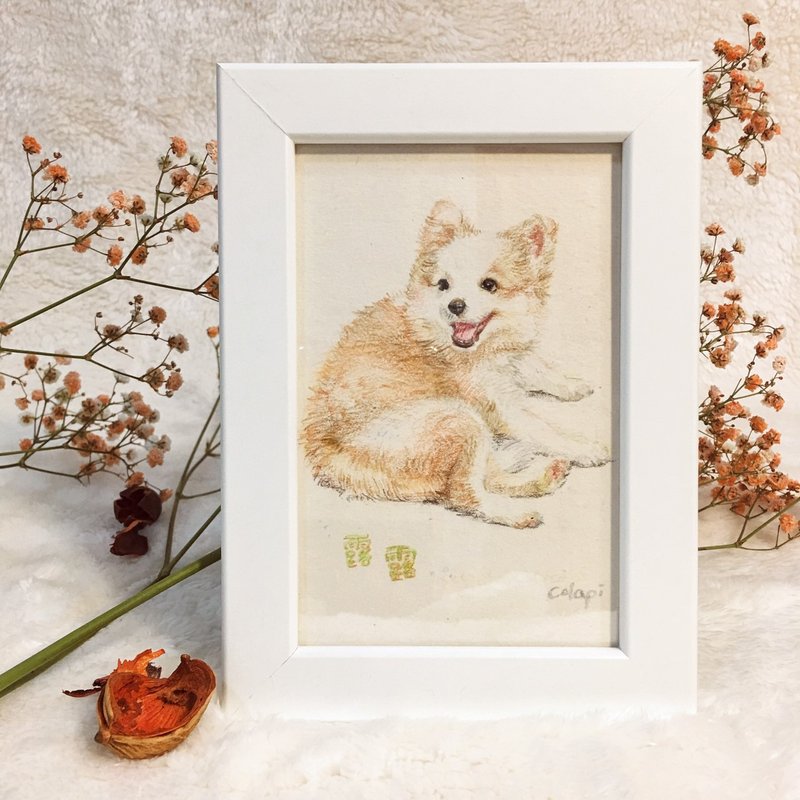 定制_全身 宠物 毛小孩 插画 肖像 画像 - 订制画像 - 纸 多色