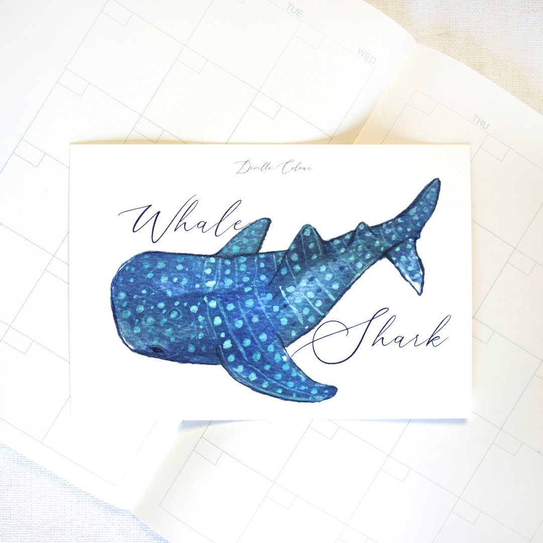 【鲸归何处 - Whale Shark 鲸鲨】 水彩插画 明信片 鲸鱼 鲸落 海 - 卡片/明信片 - 纸 蓝色
