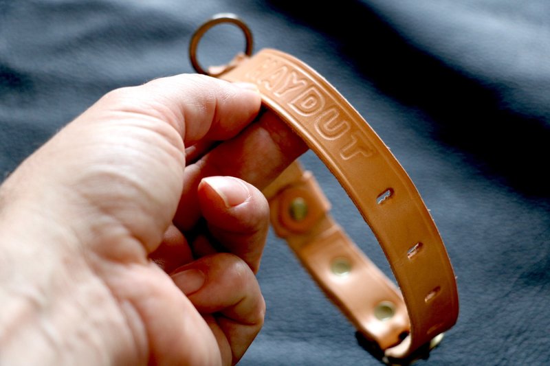 皮革礼物 – Leather DOG  collar - 皮革狗项圈 - 项圈/牵绳 - 真皮 咖啡色