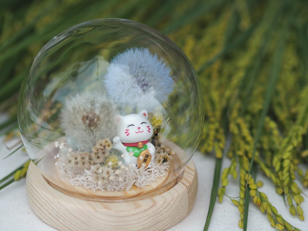 花生好事小球盅 - 干燥花/捧花 - 玻璃 
