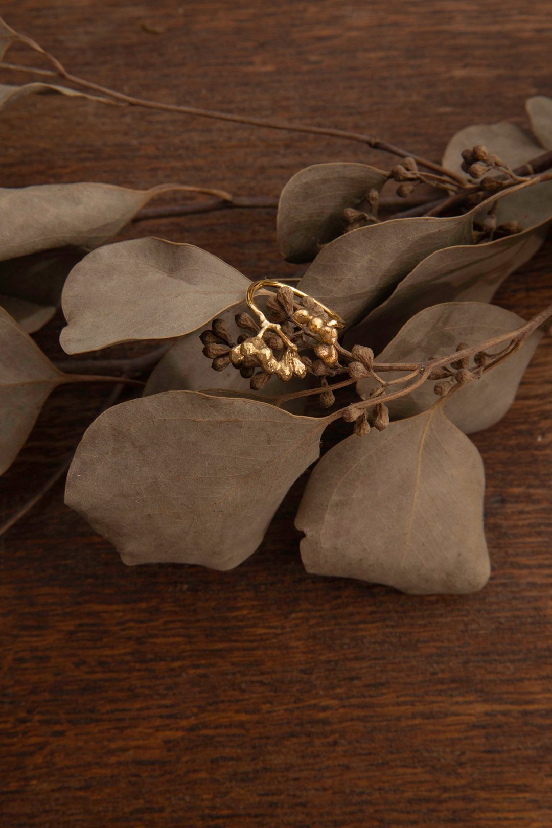 尤加利果戒指Eucalyptus Ring-华果初绽系列Pops&Buds Collection - 戒指 - 铜/黄铜 金色