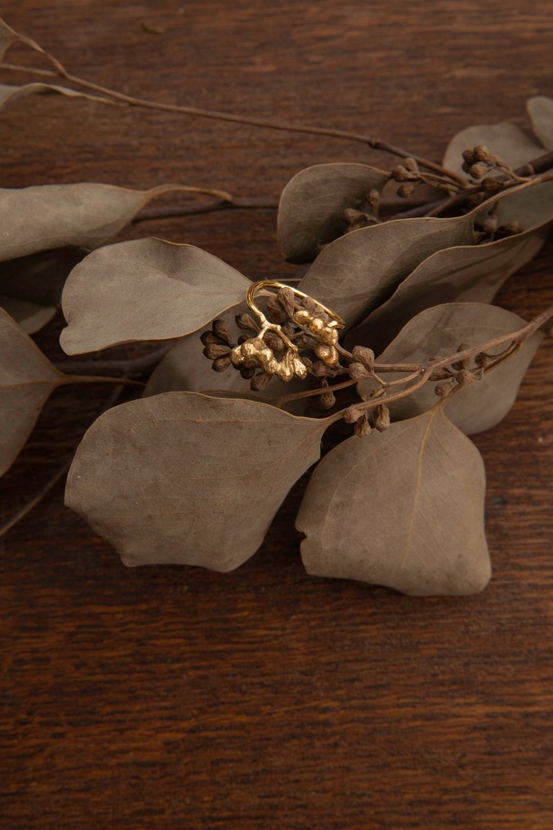 尤加利果戒指Eucalyptus Ring-华果初绽系列Pops&Buds Collection - 戒指 - 铜/黄铜 金色