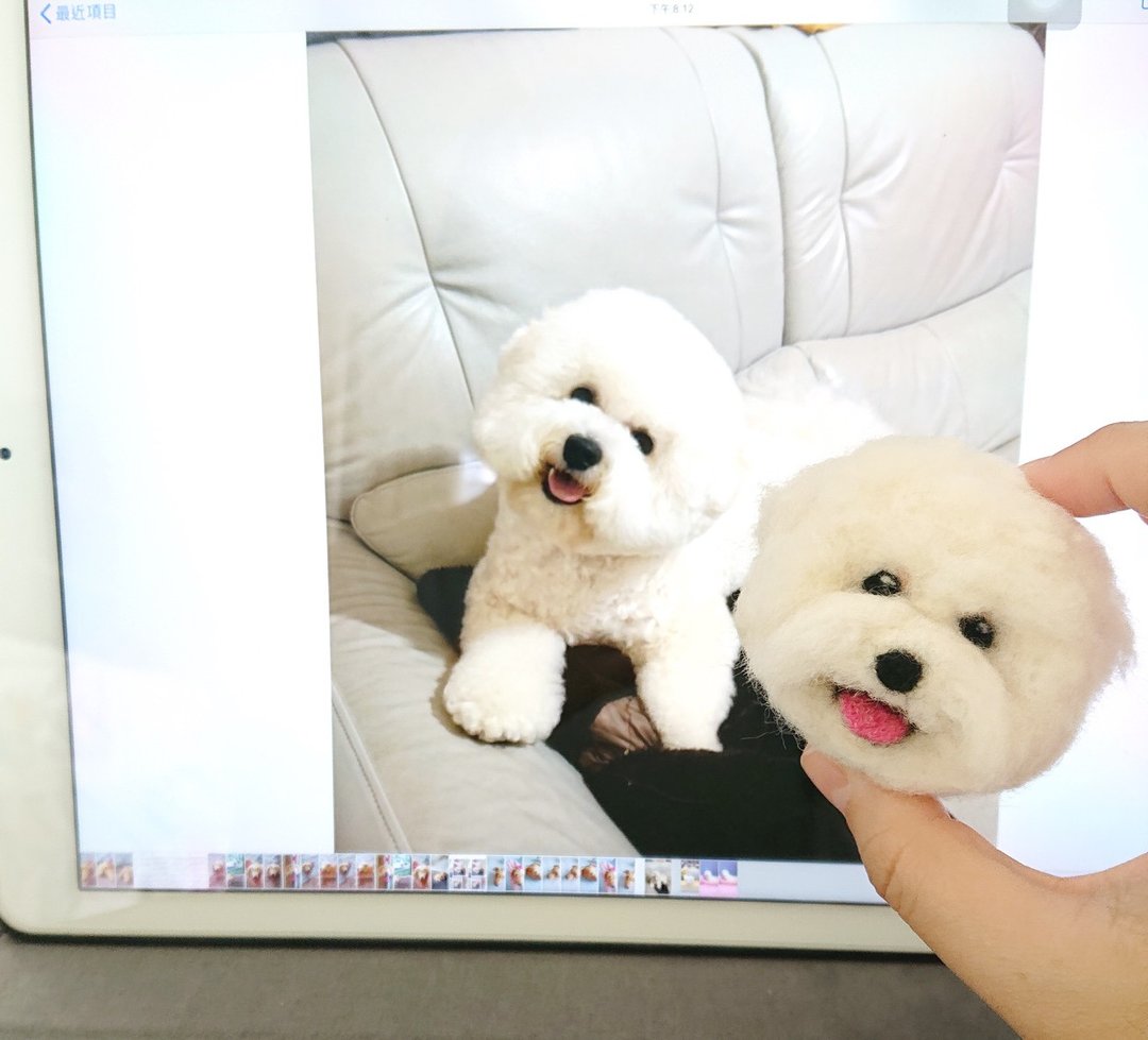 羊毛毡宠物定制-比熊犬钥匙圈,需定制,提供照片估价,勿直接下单 - 钥匙链/钥匙包 - 羊毛 