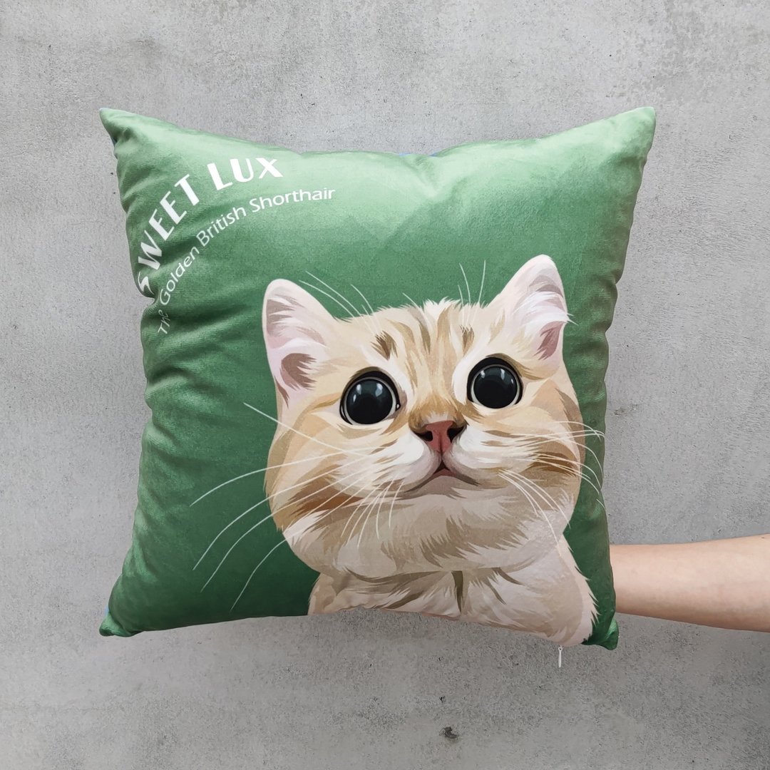 宠物 猫 狗 人像 似颜绘方形抱枕 质感韩国绒毛 - 枕头/抱枕 - 棉 