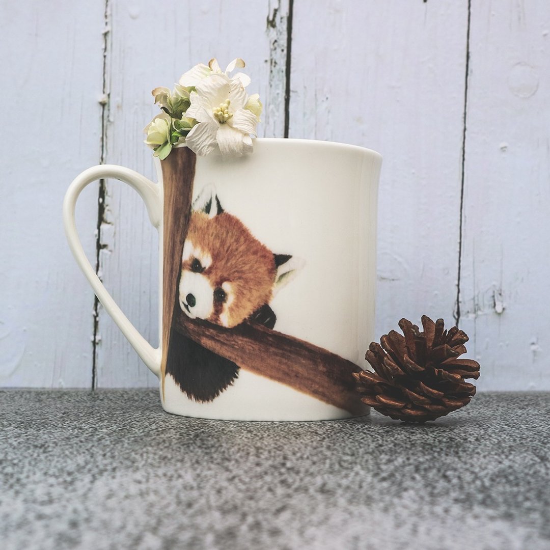 买二送一  骨瓷马克杯-疗愈小猫熊 - 咖啡杯/马克杯 - 瓷 咖啡色