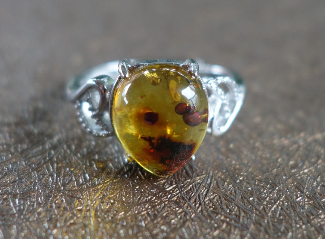 Amber 琥珀 天然波罗的海 金珀 戒指 2.6克 植物珀 花珀 非二代 - 戒指 - 半宝石 多色