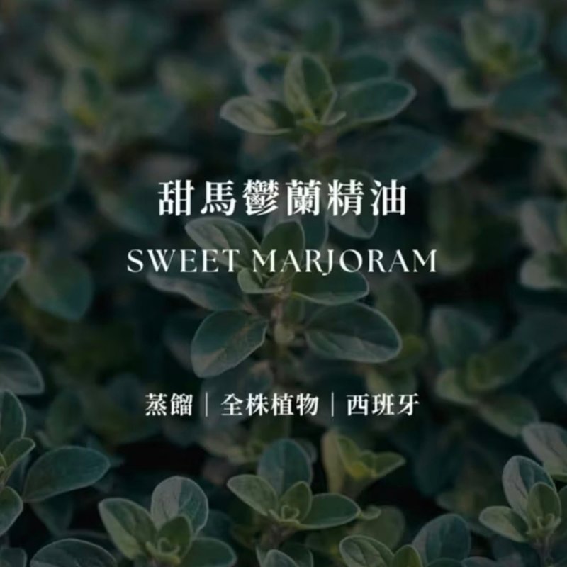 甜马郁兰精油 | Sweet Marjoram Essential Oil | 温柔包覆 草本 - 香薰/精油/线香 - 精油 