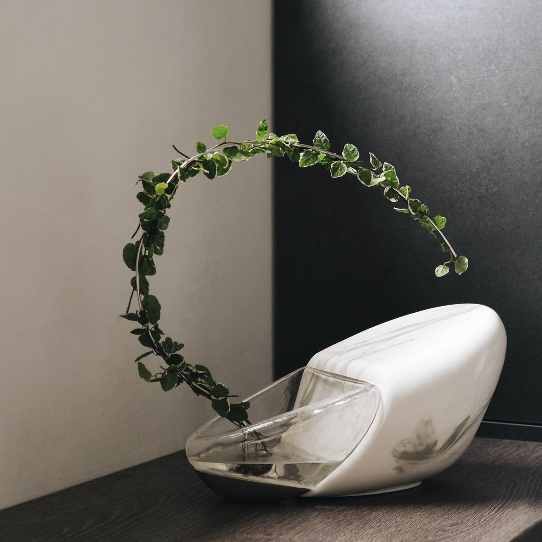 宠物骨灰盒 - 水耕系列 — 一叶舟 - 其他 - 瓷 白色