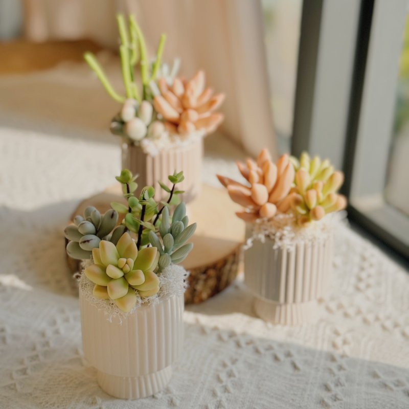 -送礼首选-【懒人救星】黏土多肉小花园-竖纹款(小)附提袋 - 摆饰 - 粘土 多色