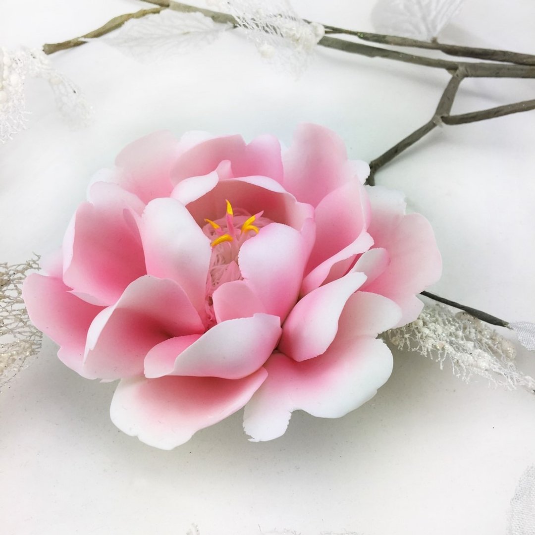 CereiZ永生瓷花・永恒牡丹花礼 - 花瓶/陶器 - 陶 粉红色