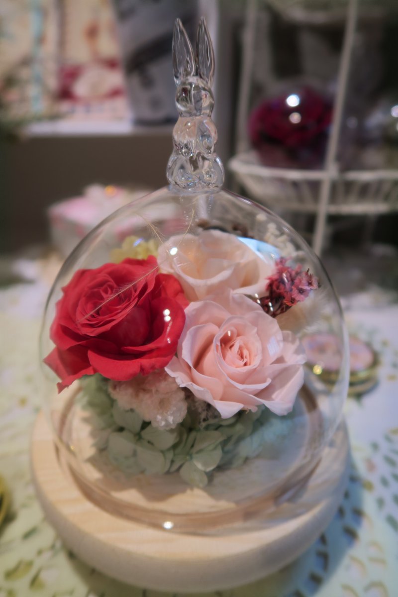 漫森态 不凋花兔子玻璃盅 永生花 美女と野獣 - 干燥花/捧花 - 植物．花 多色