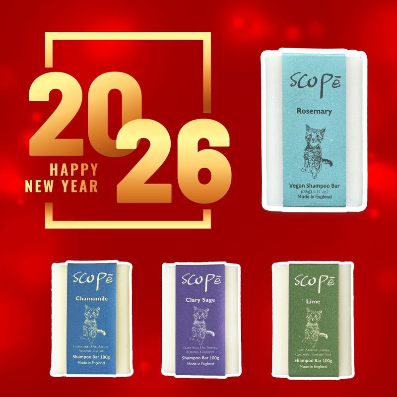 洗发皂MIX裸装4入-英国原装【诗可贝SCOPē】迷迭香-新品上市 - 洗发用品 - 浓缩/萃取物 