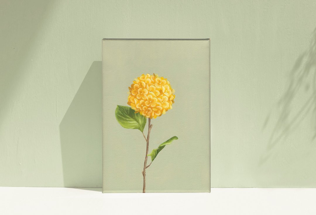 【体验】台中油画体验课程/四季花令 - 绣球花/台中画室 - 插画/绘画/写字 - 棉 