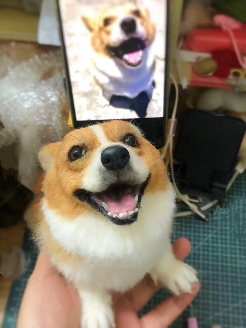 定制 逼真犬 毛孩 宠物 柯基犬 羊毛毡 娃娃 似颜绘 纪念 狗狗 r1 - 玩具 - 羊毛 多色