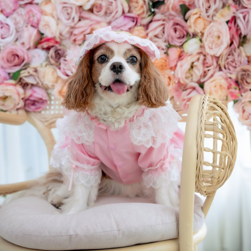 粉红色长袖蕾丝连身裙 (帽子另买) - 衣/帽 - 聚酯纤维 