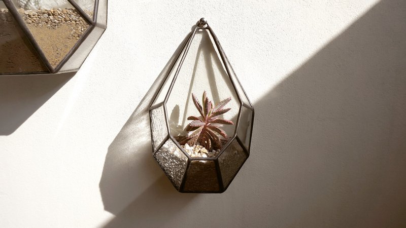 日光小露台-M / 花房 烛台 吊饰 摆饰 LUMIROOMI 镶嵌玻璃 - 植栽/盆栽 - 玻璃 透明