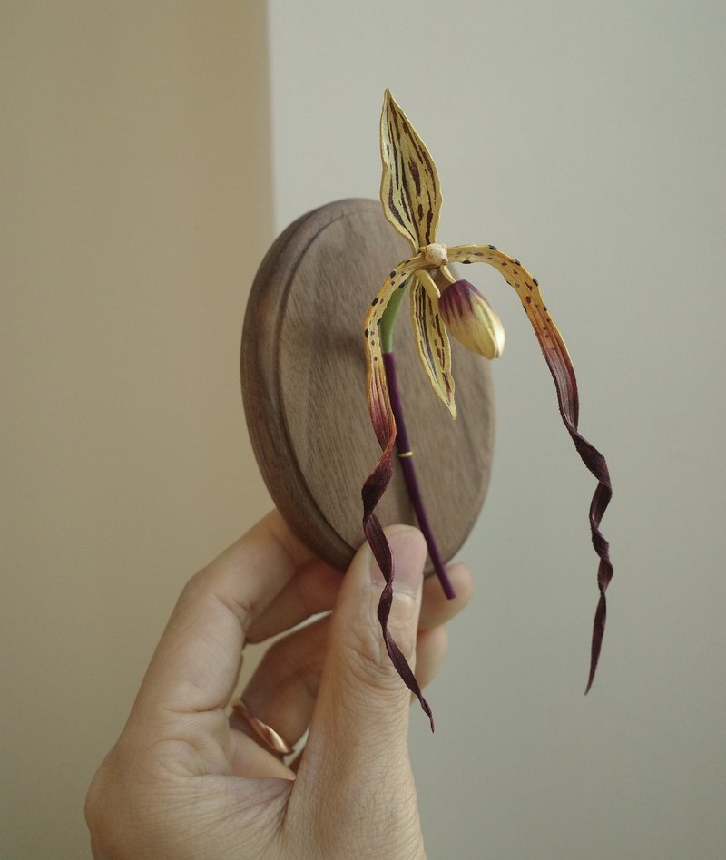 现货 麦克仙履兰配胡桃木展示板 - 摆饰 - 真皮 